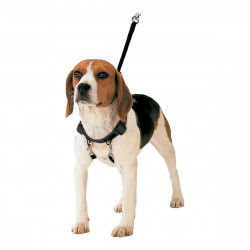 Dog Harness Gloria 40-60 cm...
