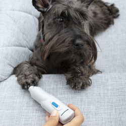 Electric Nail File for Pets...