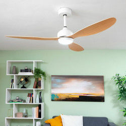 LED Ceiling Fan with 3 ABS...