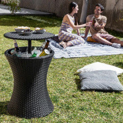 3-in-1 Cooler Table for...