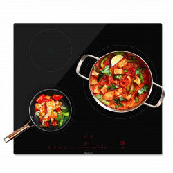 Induction Hot Plate Cecotec...