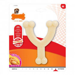 Dog chewing toy Nylabone...