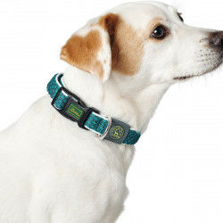 Dog collar Hunter Basic...