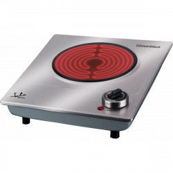 Induction Hot Plate JATA...