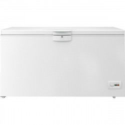 Freezer BEKO HSM47530