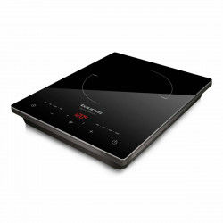 Induction Hot Plate Taurus...