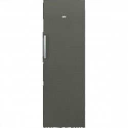 Freezer BEKO RFNE290L41GN...