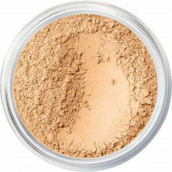 Powder Make-up Base Shine...