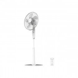 Freestanding Fan Cecotec...