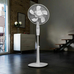 Freestanding Fan Cecotec...