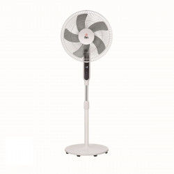 Freestanding Fan Grupo FM...