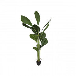 Plantador Romimex Verde PVC...