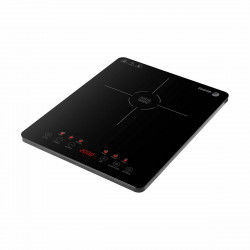 Induction Hot Plate Fagor...