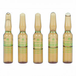 Ampoules Endoncare Tensage...