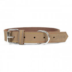 Dog collar Gloria Oasis...